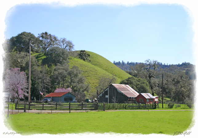 Folded Hill