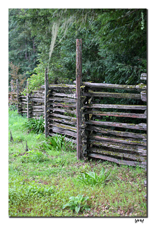 Split Rail