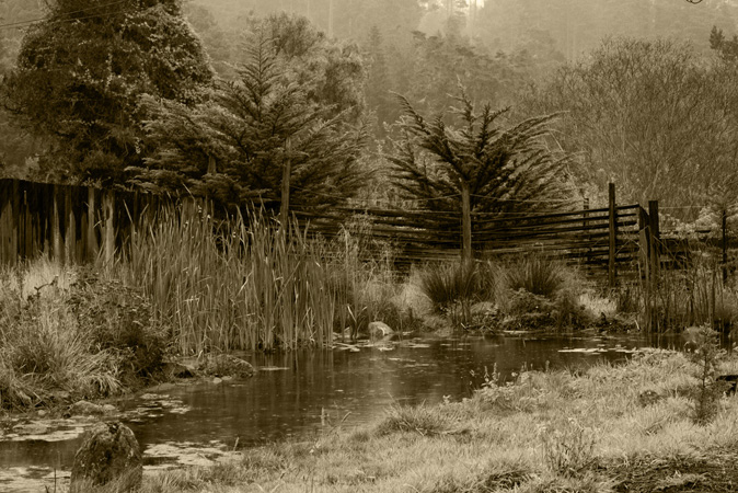 Brewery Gulch Pond