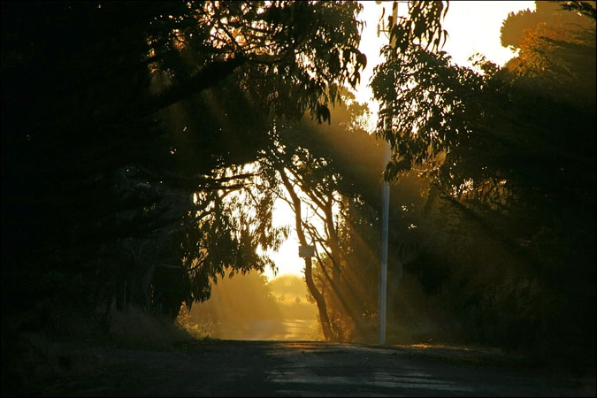 Coastal Lane at Dusk