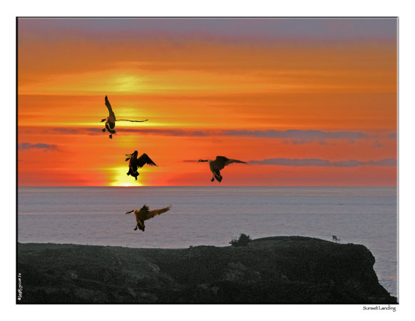 Sunset Landing