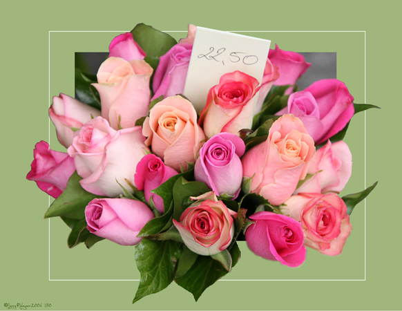 Euro Rose