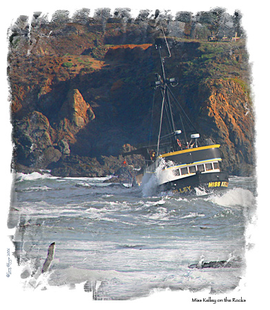 Coastal Storm #01