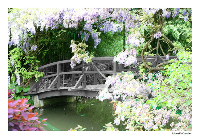 Monet&rsquo;s Garden