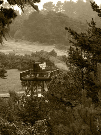Architecture #4