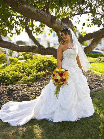 Wedding #13