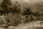 <strong>Brewery Gulch Pond</strong>