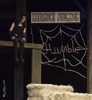 <strong>Musicals</strong><br /> Gloriana’s staging of their productions such as Charlotte’s Web are part of the magic.