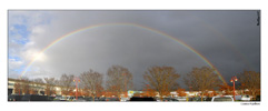 <strong>Costco Rainbow</strong>