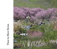 <strong>Marketing Photo Books</strong><br />The book was divided into several chapters, starting with the magical entrance up the private road in spring, then a tour of the facilities through the little details that the guests never forget, followed by shots showing the services and amenities, and concluding with flora and fauna of the nature preserve.