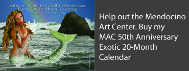 Cover of 2009 Mendocino Art Center Calendar