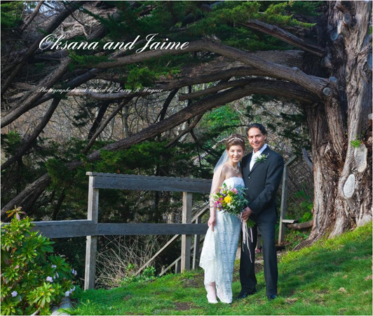 Small Wedding #1